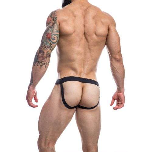 n12070-c4m-mixed-jockstrap-rainbow-large-back-1