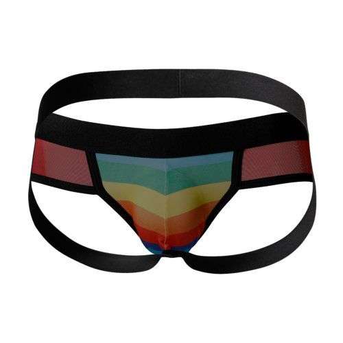 n12070-c4m-mixed-jockstrap-rainbow-large-back