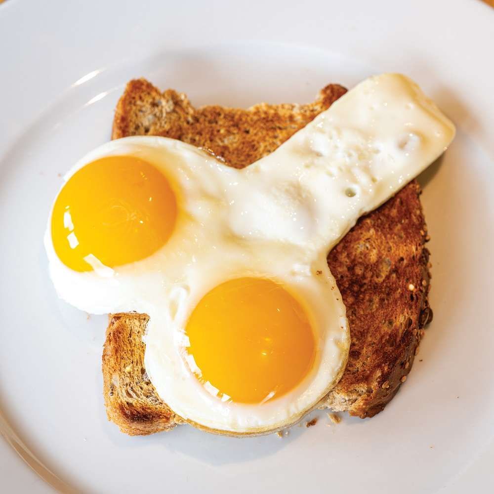 n7394-willie-egg-fryer-3