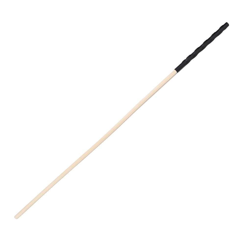 n12774-bound-to-please-spanking-cane-1